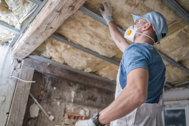 Best Insulation for Specific Applications in St Augustine Beach, FL