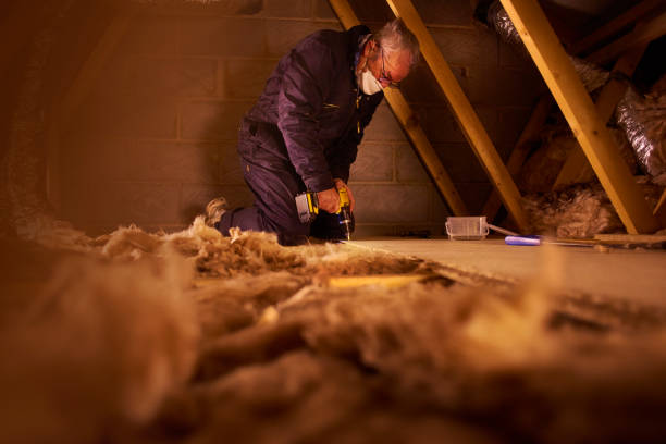 Best Insulation for Specific Applications in St Augustine Beach, FL